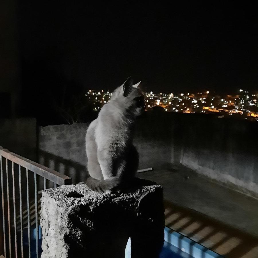 Casa De Temporada Villa เซาโลว์เรงโซ ภายนอก รูปภาพ